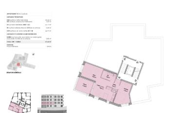 Wohnung 2.5 Zimmer - image - 5