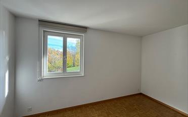 Doppeleinfamilienhaus 6 Zimmer - image - 9