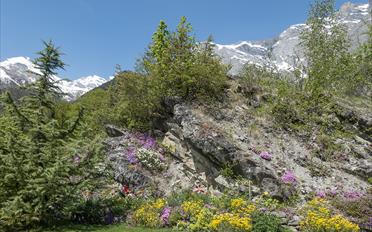 Villa 6 rooms - image - 12