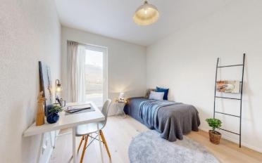 Wohnung 5.5 Zimmer - image - 12