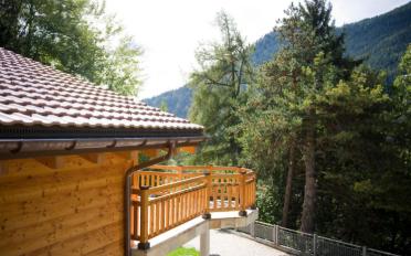 Chalet 7.5 rooms - image - 2