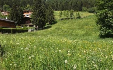 Terrain à bâtir - image - 1