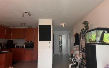 Appartement 25 pièces - image - 3