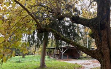 Terrain à bâtir - image - 4