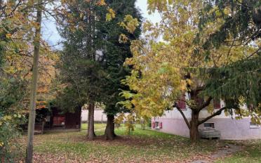 Terrain à bâtir - image - 5