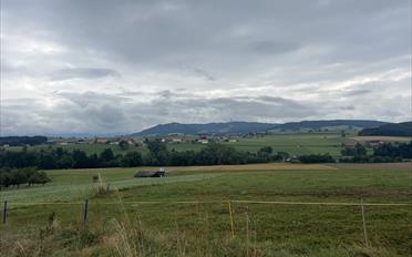 Villa 5.5 pièces - image - 2