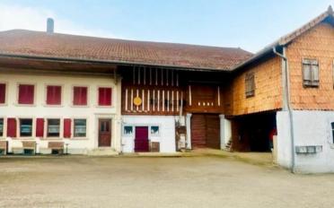 Immeuble résidentiel 12 pièces - image - 2