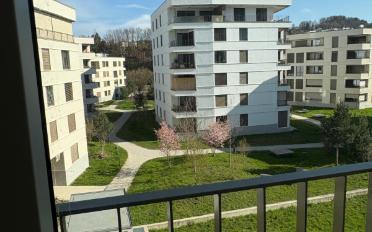 Wohnung 3.5 Zimmer - image - 9