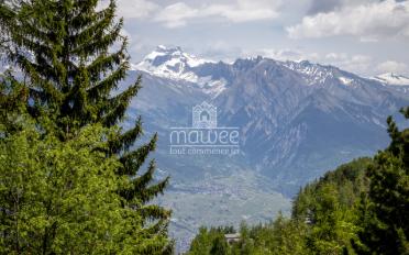 Chalet 4.5 rooms - image - 10