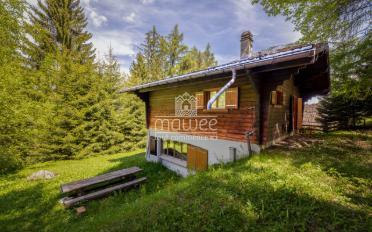 Chalet 4.5 rooms - image - 12