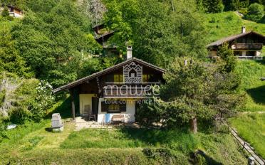 Chalet 4.5 Zimmer - image - 1