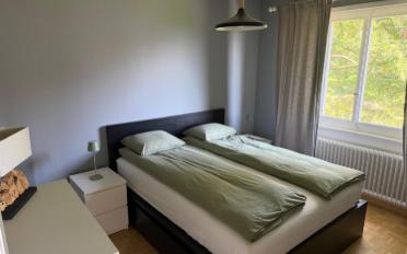 Apartment - image - 3
