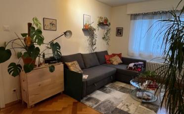 Apartment 2 rooms - image - 1
