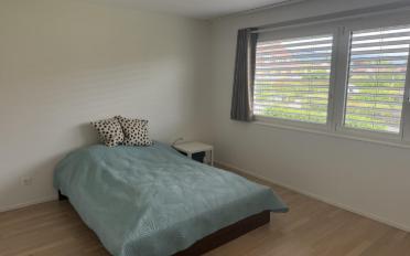 Apartment 2.5 rooms - image - 6