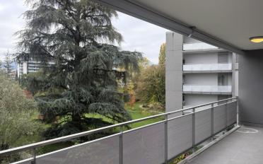 Wohnung 5.5 Zimmer - image - 12