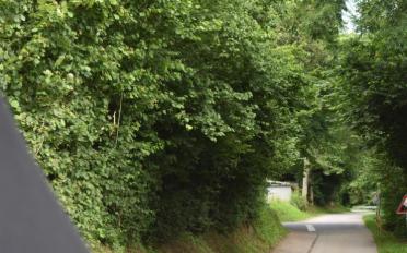 Maison terrasse 5.5 pièces - image - 2