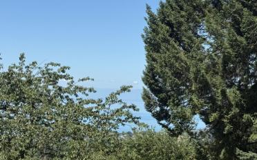 Terrain à bâtir - image - 4