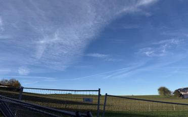 Wohnung 3.5 Zimmer - image - 11