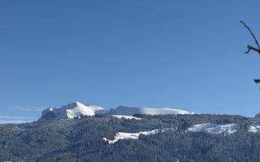 Villa 5.5 pièces - image - 2