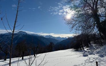 Appartement terrasse 5.5 pièces - image - 10