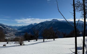 Appartement terrasse 5.5 pièces - image - 11