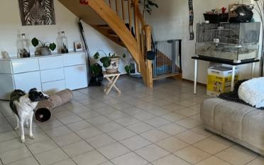 Duplex 4.5 Zimmer - image - 2