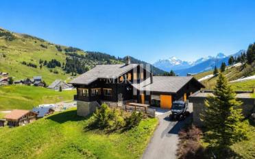 Chalet 11 rooms - image - 1