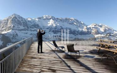 Hotel - image - 6