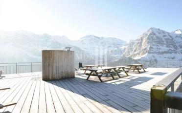 Hotel - image - 3