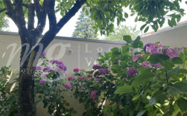 Single house 7 rooms - image - 13
