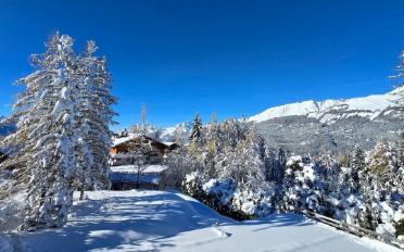 Chalet 8.5 pièces - image - 3