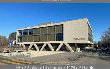 Reihenfamilienhaus 6.5 Zimmer - image - 1