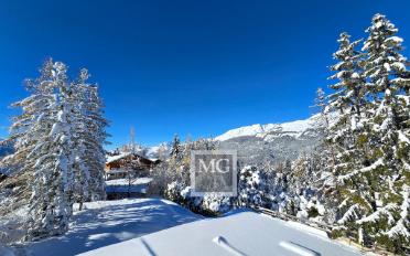Chalet 8.5 pièces - image - 4
