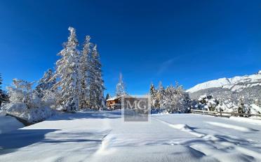 Chalet 8.5 pièces - image - 4