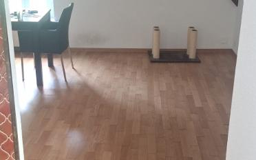 Wohnung 1.5 Zimmer - image - 1