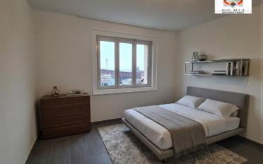 Wohnung 4 Zimmer - image - 3