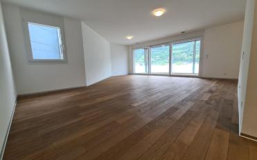Appartement 5.5 pièces - image - 1