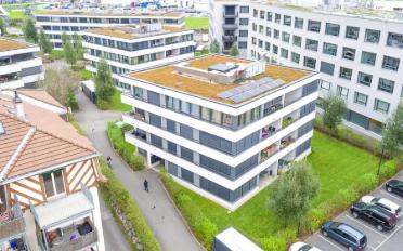Apartment - image - 1