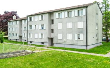 Wohnung ein Zimmer - image - 1
