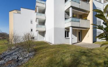 Wohnung 3.5 Zimmer - image - 2