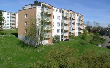 Wohnung 3.5 Zimmer - image - 1
