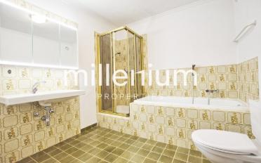 Single house 10 rooms - image - 11