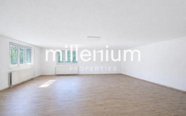 Single house 7 rooms - image - 11