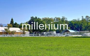 Appartement 5 pièces - image - 2