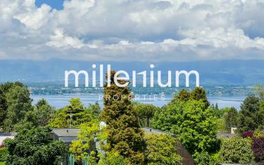 Single house 10 rooms - image - 1