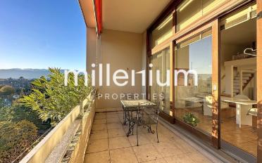 Wohnung 2.5 Zimmer - image - 1