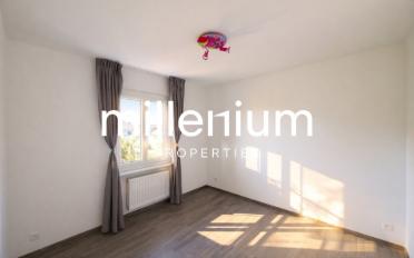 Single house 8 rooms - image - 12