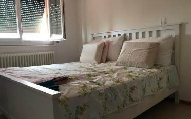 Apartment 2.5 rooms - image - 4