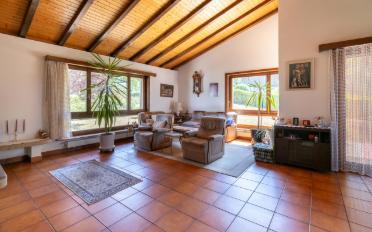 Einfamilienhaus 5.5 Zimmer - image - 4