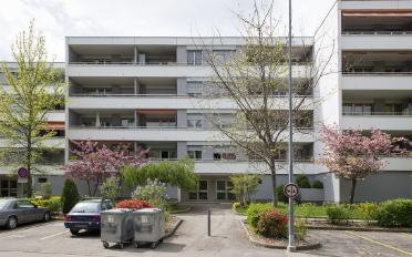 Wohnung 3 Zimmer - image - 2